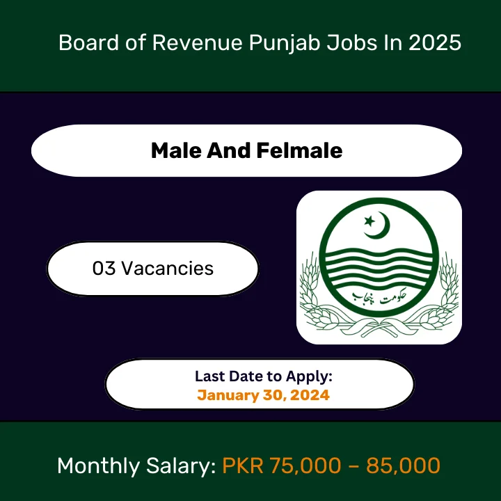 board of revenue punjab jobs