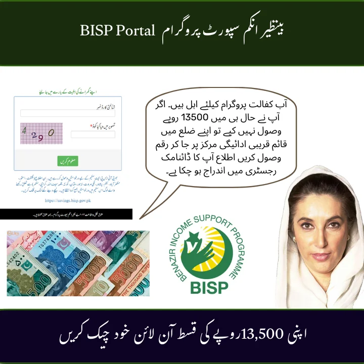 BISP 8171 Program