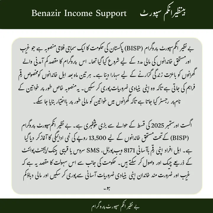 What is BISP 8171 Program and How It Works in 2025
